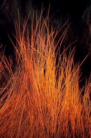 Santa Fe, New Mexico