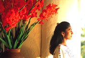 Mexico Series